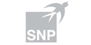 Logo SNP Schneider-Neureither & Partner SE in Heidelberg