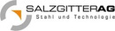 Logo Salzgitter AG in Worms